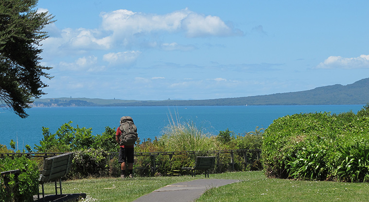Rothesay to Browns Bay Path - Path is popular as part of the Te Araroa walkway.