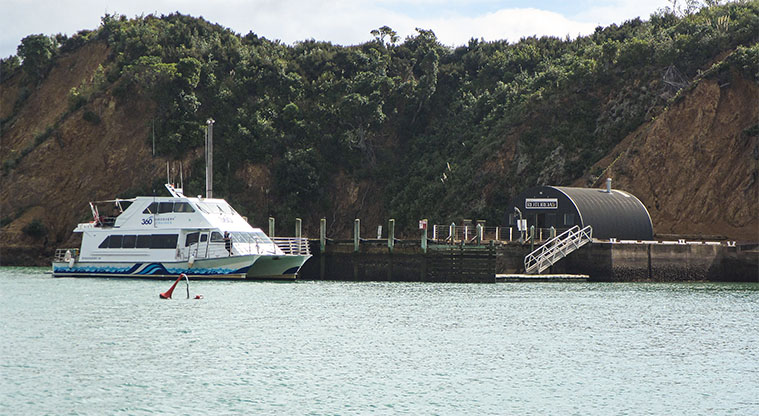 Rotoroa Island North Path - Rotoroa Island is reached either by Fullers 360 Ferry, or by private boat.