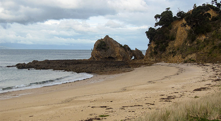 Rotoroa Island North Path - Ladies’ Bay is the first stop on the North Loop track.