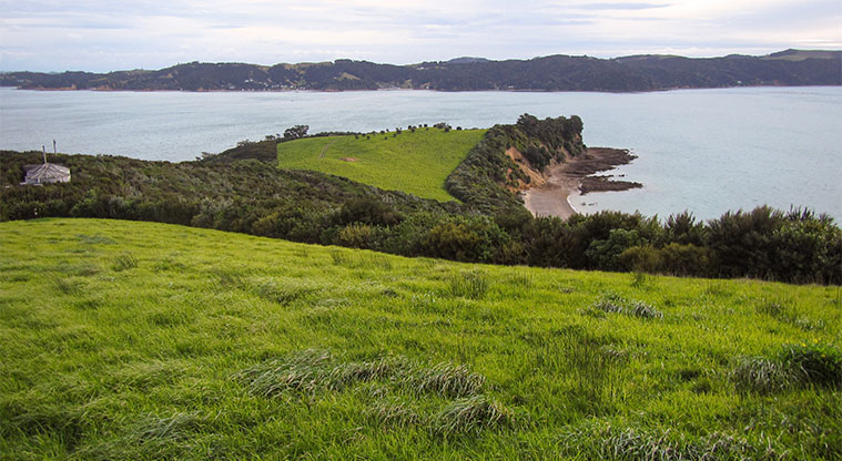 Rotoroa Island North Path - The walk to Mai Mai Bay lookout goes along this headland.