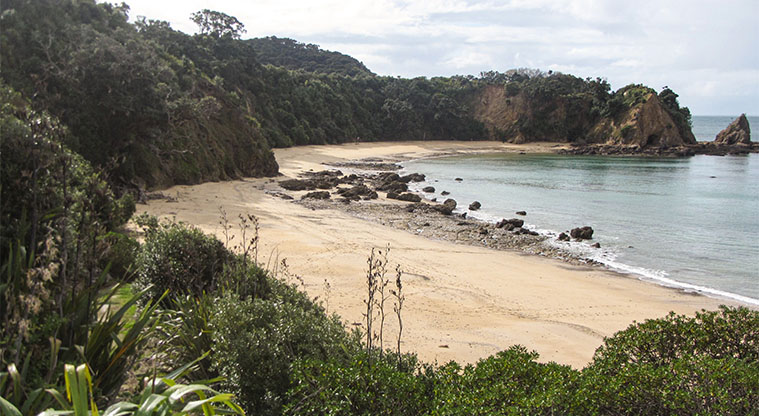 Rotoroa Island South Path - Men’s Beach is accessed along the South Loop.