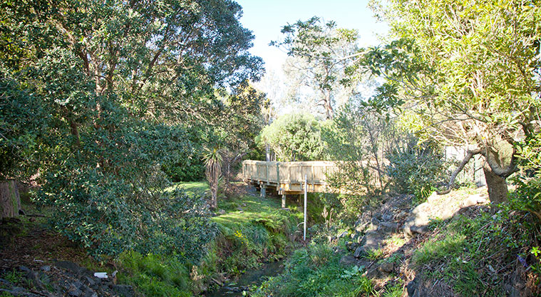 Roy Clements Treeway Path - Meola Creek.