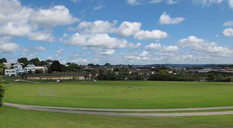 Royal Reserve Path -&nbsp; Sports field.