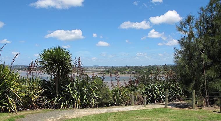 Sanders Dog Lover's Path – You can also start from Sanders Reserve – dogs on leash to the path entry gate.
