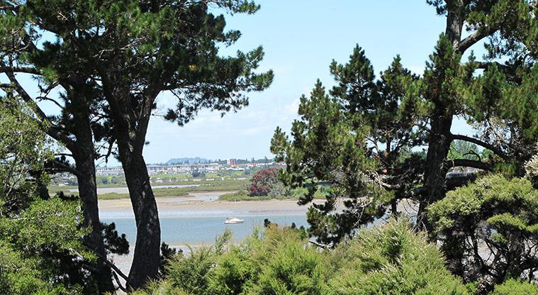 Sanders Dog Lover's Path - Catch a glimpse of boats moored in the upper harbour.