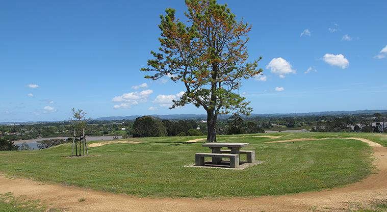Sanders Reserve Beginners Path - Path offers a sitting spot for parents to watch.