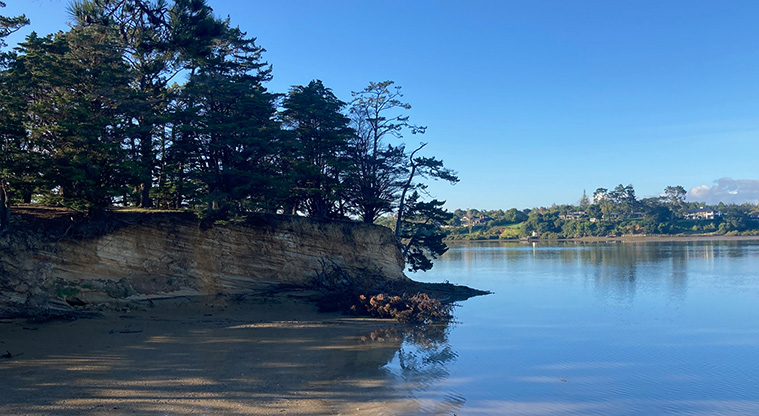Sanders Reserve Recreation Path - Picturesque views of the upper harbour.