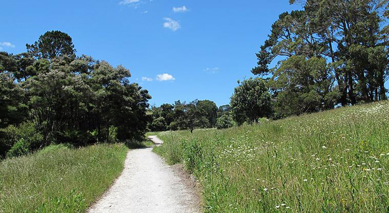 Sanders Reserve Recreation Path - Typical section of the path.