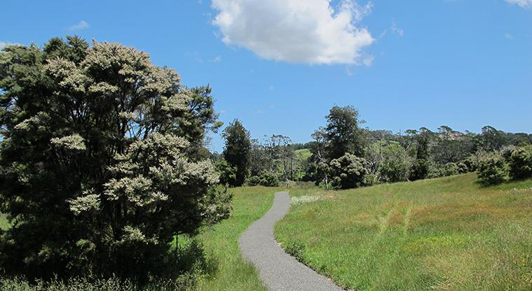 Sanders Reserve Recreation Path - Path winds around through fields.