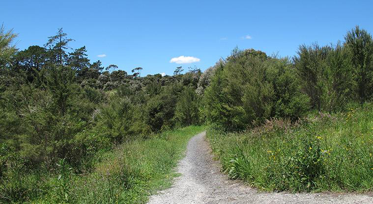Sanders Reserve Recreation Path - Take the path across a short narrower period over a small stream.