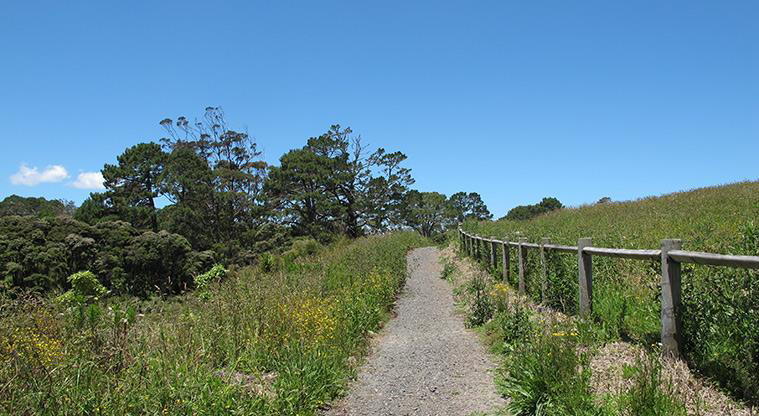 Sanders Reserve Recreation Path - Last part of the path is short.
