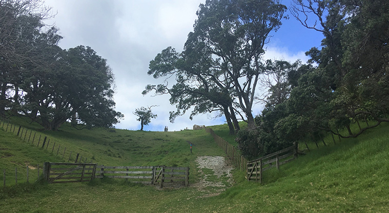 Scandretts Mullet Point Path - Path up the hill.