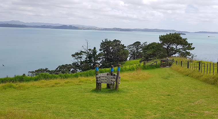 Scandretts Mullet Point Path - Typical section of the path.