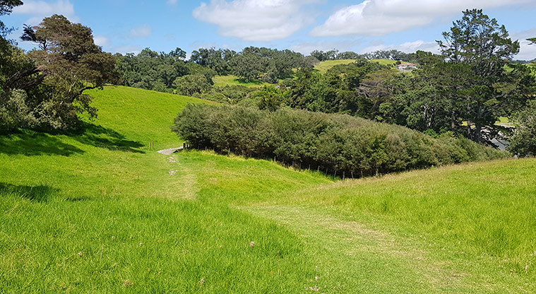 Scandretts Mullet Point Path - Wander down the hill back to Scandretts Bay.