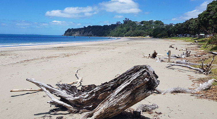 Scandrett to Martins Bay - Stroll along the white sand beach.