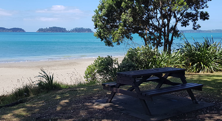 Scandrett to Martins Bay - Shaded picnic spots.
