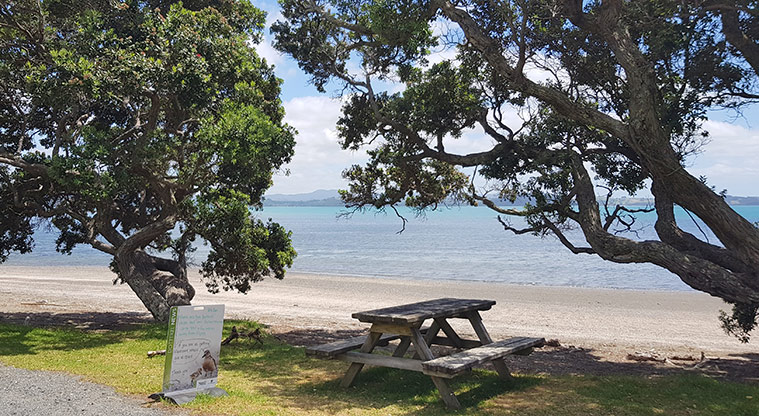 Scandretts Bay Path - Shady picnic spot.