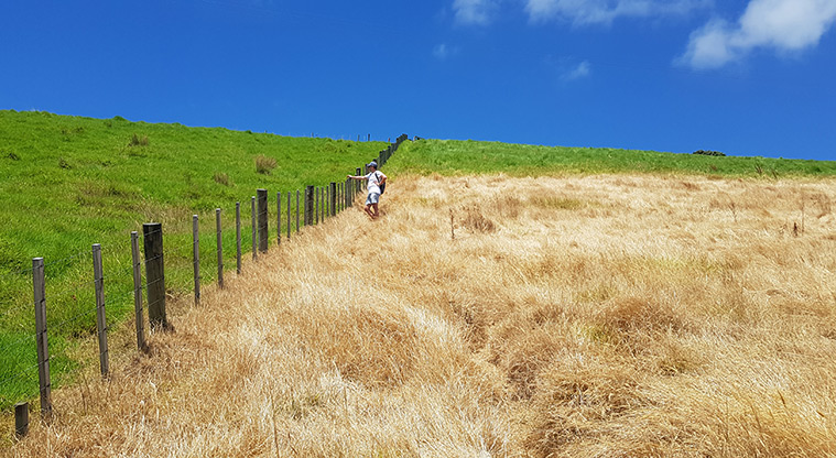 Scandretts Bay Path - Steep climb up the hill.