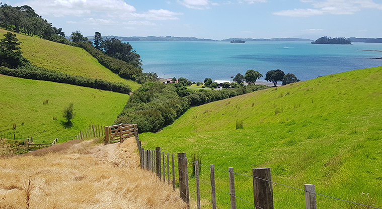 Scandretts Bay Path - Spectacular views looking back to Scandretts Bay.