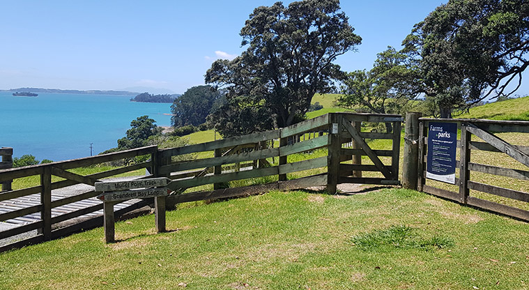 Scandretts Bay Path - Follow the red track markers.