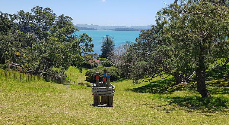 Scandretts Bay Path - Head back down Pig Sty Track.