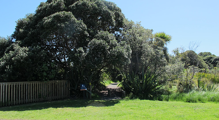 Shakespear Heritage Trail - Path start from Okoromai Bay.
