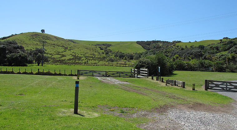 Shakespear Lookout Path - Path start at Te Haruhi Bay.