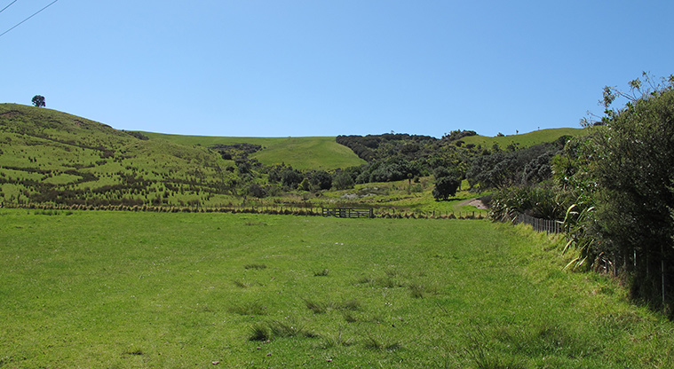 Shakespear Lookout Path - Path goes through farm paddock.