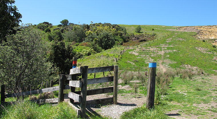 Shakespear Lookout Path - Path follows both red and blue markers.