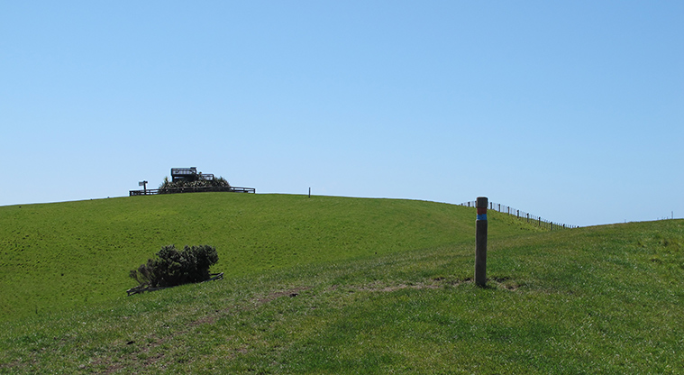Shakespear Lookout Path - Path up to Lookout Point.