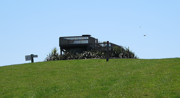 Shakespear Lookout Path - Lookout platform.