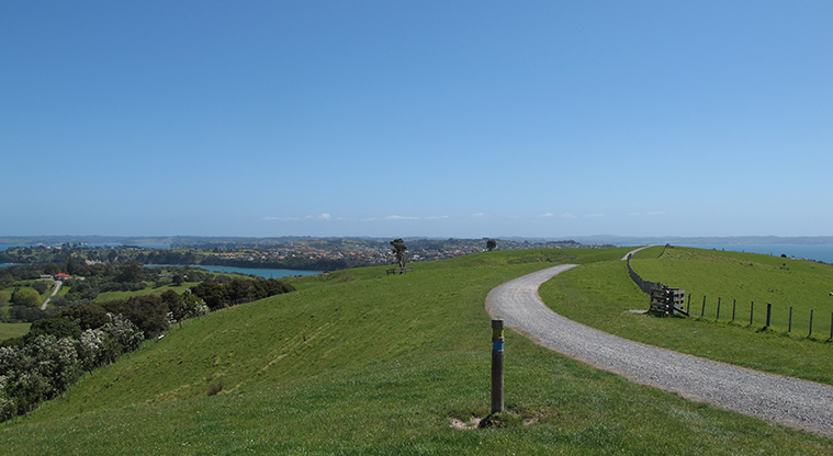 Shakespear Lookout Path - Gravel section of path with great views.