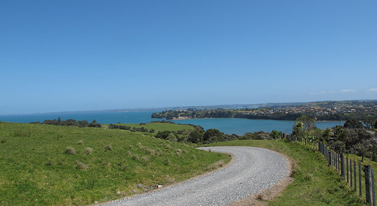 Shakespear Lookout Path - Path back down to Te Haruhi Bay.