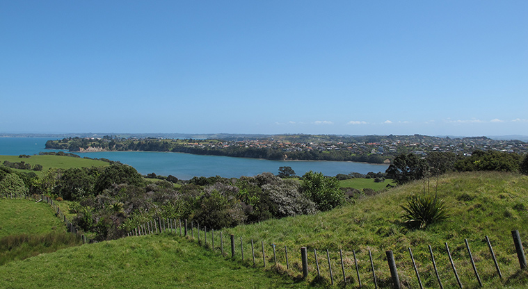 Shakespear Lookout Path - Views over Gulf Harbour.