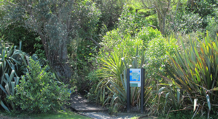 Shakespear Lookout Path - Path end or alternative start point down zig zag steps.