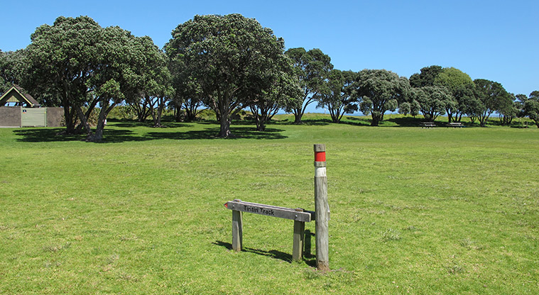 Shakespear Tiritiri Path - Start of walkway from Te Haruhi Bay.