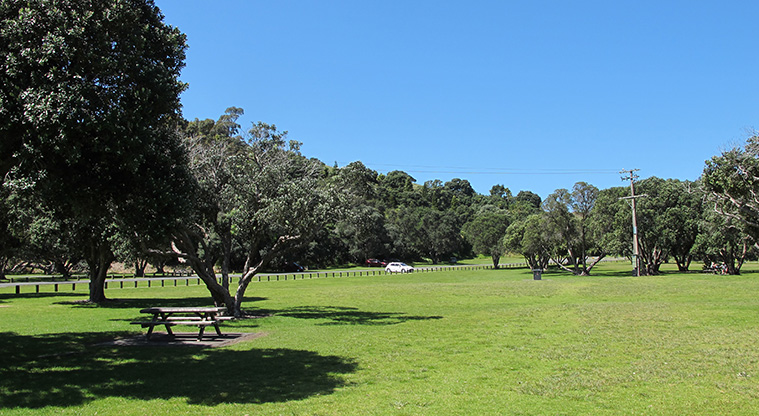 Shakespear Tiritiri Path - Picnic area at Te Haruhi Bay.