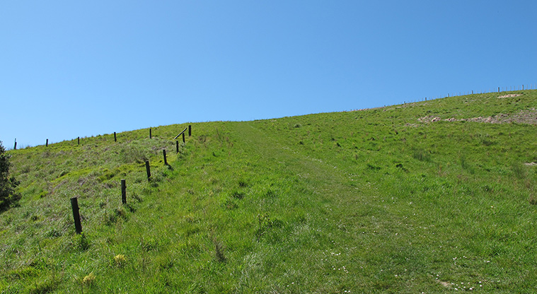 Shakespear Tiritiri Path - Steep section up farm track.