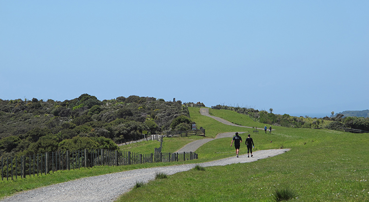 Shakespear Tiritiri Path - Path becomes firm gravel path shared with mountain bikers.