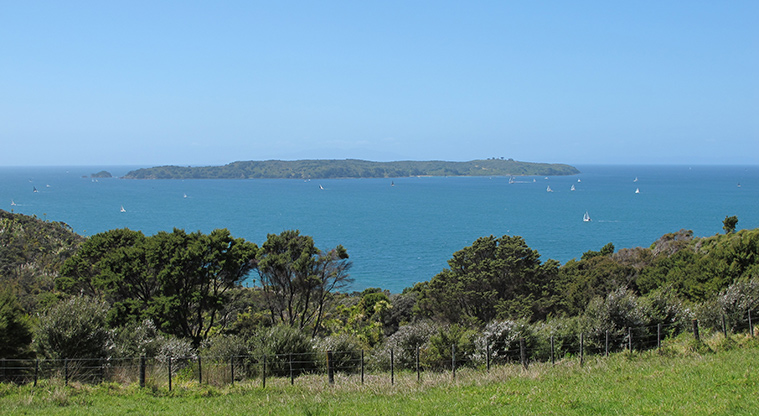 Shakespear Tiritiri Path - View over Tiritiri Matangi.
