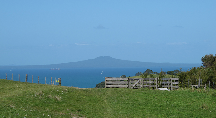 Shakespear Tiritiri Path - Views to Rangitoto.