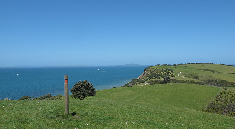Shakespear Tiritiri Path - Keep following the red marker poles.