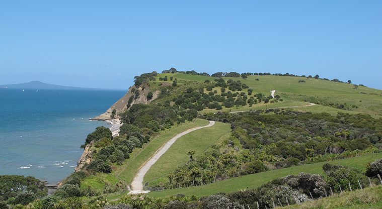 Shakespear Tiritiri Path - Path drops into a gully.