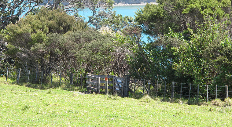 Shakespear Tiritiri Path - Marker in corner can be a little hard to see.