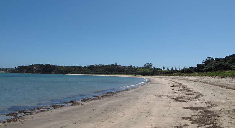 Shakespear Tiritiri Path - Walk along Te Haruhi beach, do give space to nesting birds.