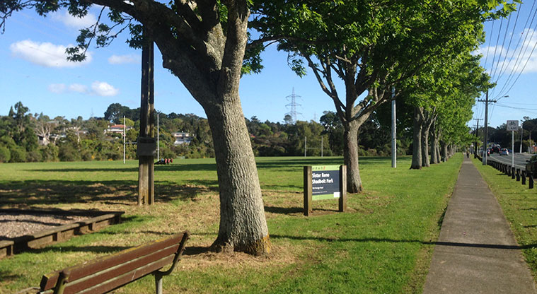 Sister Rene Shadbolt Path - Sports field in the background. Photo: Ilai Manu.
