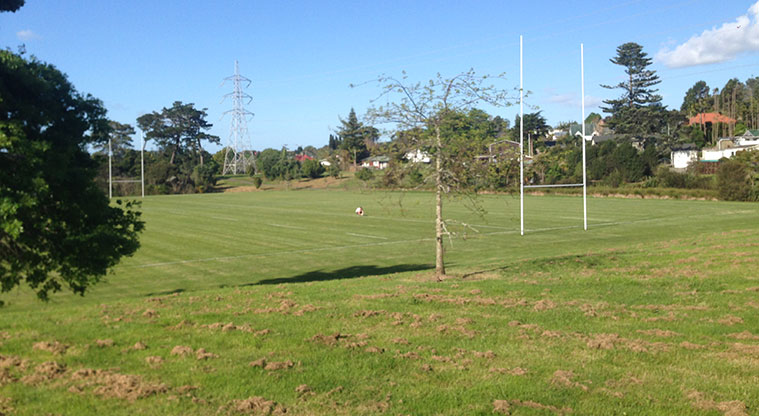 Sister Rene Shadbolt Path - View over sports fields. Photo: Ilai Manu.