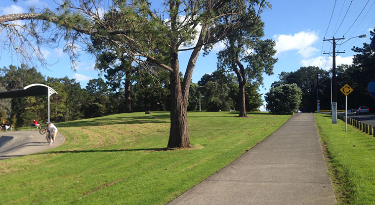 Sister Rene Shadbolt Path - Path alongside Portage Road. Photo: Ilai Manu.
