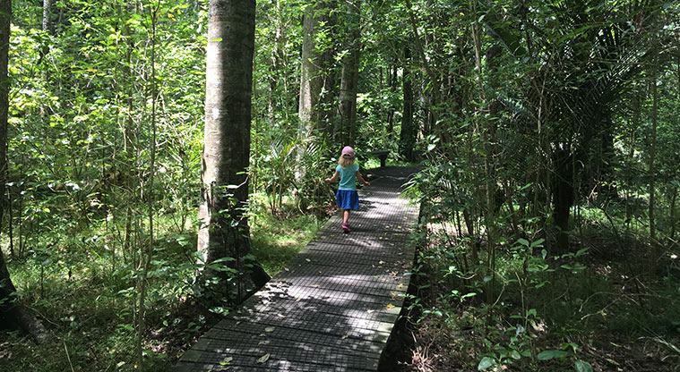Smiths Bush Path - The flat boardwalk is great for children and prams.