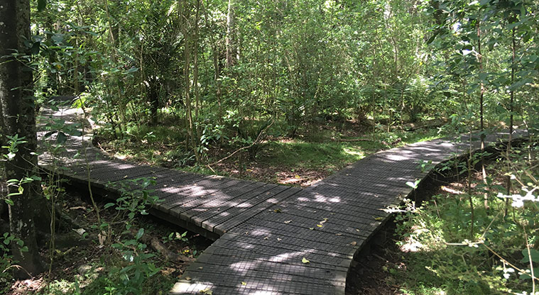 Smiths Bush Path - Turn left at the first junction.